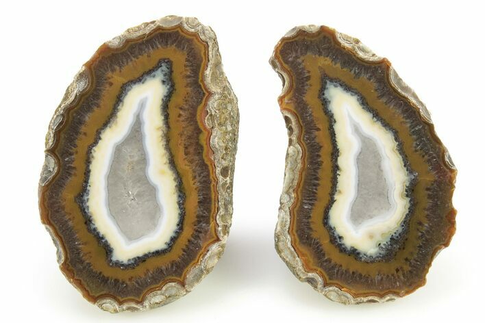 Polished Warring States Agate Nodule Pair - China #260566
